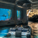 The Mosasaurus section of the ride was my favorite.